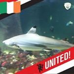 Profile Picture of Adam Oleary (@oleary5729) on Instagram
