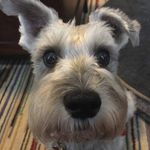 mark roseberry - Instagram Profile Picture of mark roseberry (@drpn808) on Instagram