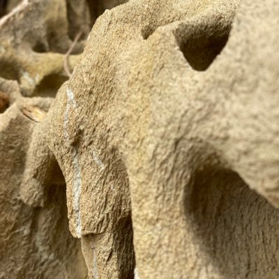 Profile Picture of Jonathon Kite (@ClaudeLabka) on Twitter