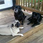 Profile Picture of Patrick & Ronda Speers (@patronda1982) on Instagram