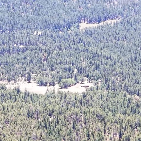 Profile Picture of Joseph Hamilton (@jhamilton1375) on Poshmark