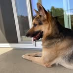 Profile Picture of Walter France (@Walter-France) on Facebook