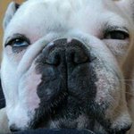 Profile Picture of John Fout (@foutjohn) on Instagram