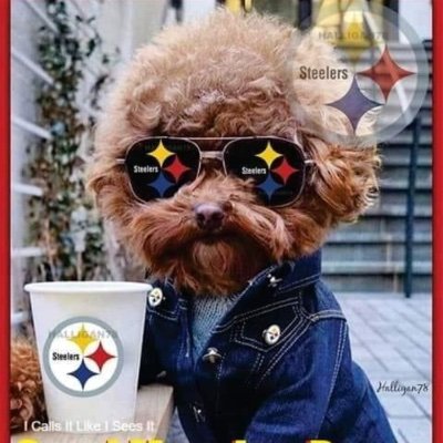 Profile Picture of Stanley Wagner (@Stanley64755842) on Twitter