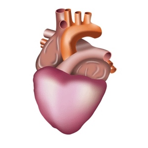 Profile Picture of Maria Ebbinghaus (@mariaebbinghaus) on Myspace