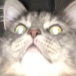 Profile Picture of tony_runyon (@tony_runyor) on Instagram