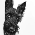 Profile Picture of Lisa Falcone (@lisa.falcone2) on Facebook