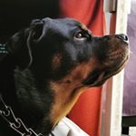 Profile Picture of Sara Hooks (@mrskrooks) on Instagram