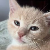 ODay - Youtube Profile Picture of ODay (@ODay-xr1kh) on Youtube