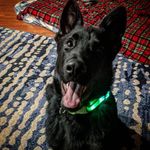 Profile Picture of Nicholas Barron (@nich3833) on Instagram
