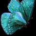 Profile Picture of Casaundra Crenshaw (@casaundra.crenshaw) on Facebook