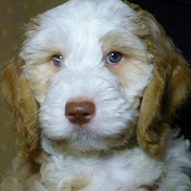 Profile Picture of David Warman (@davidwarman8268) on Youtube