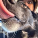 Profile Picture of Daniel Fiala (@d.fiala) on Instagram