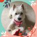 Profile Picture of Carol Cotter (@carol.cotter.54) on Facebook