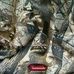 Profile Picture of Randy Prescott (@randy.prescott.161) on Facebook