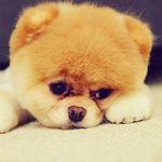 Profile Picture of Eugene Ng Wu Jie (@eugenengwujie) on Instagram