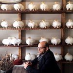 Profile Picture of David Franzson (@davidbrynjarfranzson) on Instagram