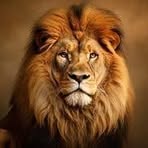 Profile Picture of Frederic Konan (@simplice.trinpapi) on Facebook