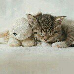 Profile Picture of Elise™ (@elise.devries) on Instagram