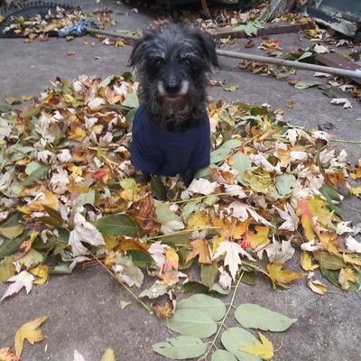 Profile Picture of Eliseo Villarreal (@EliseoVillarr10) on Twitter