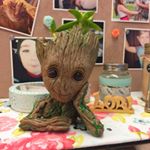 Profile Picture of Lori Maguire 🦋 (@lorimac99) on Instagram