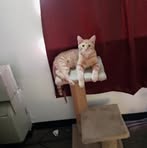 Profile Picture of Glenn Kinsinger (@glenn.kinsinger) on Facebook