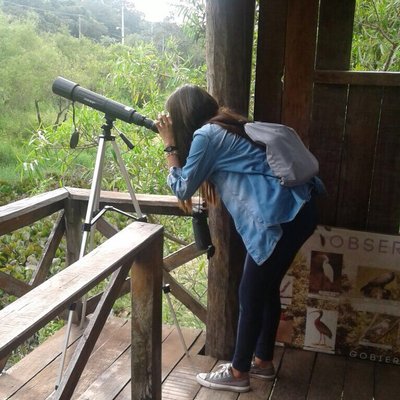 Profile Picture of Patricia Rojas (@patriciahrojas) on Twitter