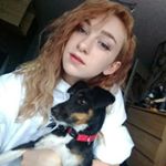 Profile Picture of Kim Pitcher (@sacred_shiba) on Instagram