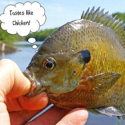 Profile Picture of Dan Carnahan (@cdan_o) on Twitter