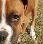 Profile Picture of Shawn Hauk (@Shawn-Hauk) on Facebook