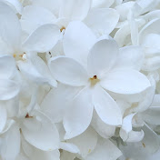 Profile Picture of Nata Romaniuk (@nataromaniuk511) on Youtube