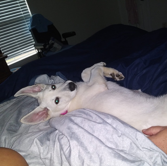 Nadya Gilhooly - Poshmark Profile Picture of Nadya Gilhooly (@nadya1979) on Poshmark