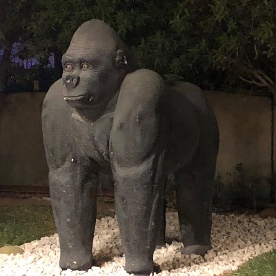 Profile Picture of Dave Watling (@wockco) on Twitter