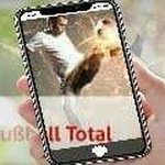 Profile Picture of Michael Hachmeister (@michaelhachmeister) on Instagram