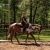 Profile Picture of Patti Scott Gillman (@pattiscottgillm) on Pinterest