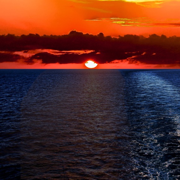 Profile Picture of Michael Ragusa (@michael_ragusa7) on Poshmark