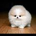 Profile Picture of Nicolas Mejia-Pena (@mejiapena) on Pinterest