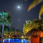 Profile Picture of Steve Plattner (@steve_plattner) on Instagram