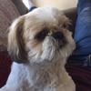 Profile Picture of Aaron Elliott (@aelliott804) on Tiktok