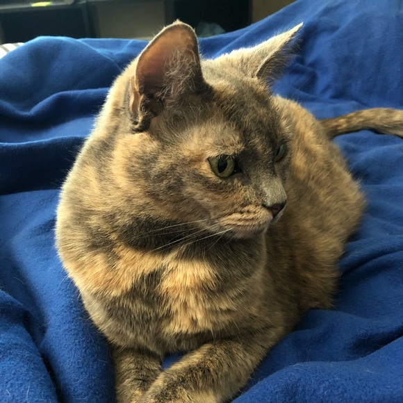 Kass Woodliff - Poshmark Profile Picture of Kass Woodliff (@kassysattic) on Poshmark