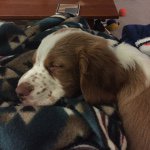 Profile Picture of Peter Simoneau (@petersimoneau) on Instagram