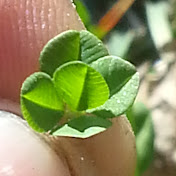 Profile Picture of Nathan Ricker (@nathanricker8071) on Youtube