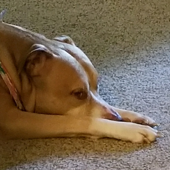 Profile Picture of Wanda Thompson (@wandagotcha) on Poshmark