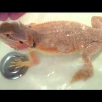 Profile Picture of Daniel Principe (@daniel-principe) on Quora