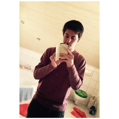 Profile Picture of Vincent Schade (@der_vini) on Twitter