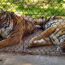 Profile Picture of Robert Slagle (@7fae155659c1400) on Twitter