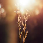 Profile Picture of Adrian Dooley (@matild_e_damore) on Instagram