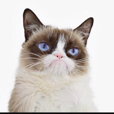 Profile Picture of Mark Mawhinney (@Mawhinney2Mark) on Twitter