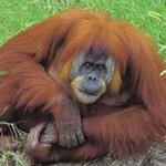 Kevin Caissie - Instagram Profile Picture of Kevin Caissie (@caissiek) on Instagram