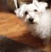Profile Picture of Gidget Martin (@gidget.martin.58) on Facebook